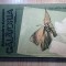 Alexandru Ecovoiu - Calatoria (Editura Albatros, 1987)