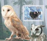 Djibouti 2017 - Fauna , Pasari , Bufnite , Colita dantelata , MNH ,Mi. Bl.31
