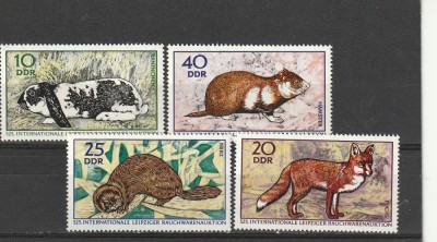 Fauna,animale de blana,DDR. foto