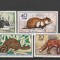 Fauna,animale de blana,DDR.