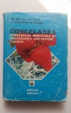 Congelarea produselor horticole și prepararea lor pentru consum - Gh. Mihalca
