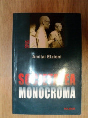 SOCIETATEA MONOCROMA de AMITAI ETZIONI 2002 foto