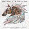 Horse Coloring Book for Adults: An Adult Coloring Book of 40 Horses in a Variety of Styles and Patterns