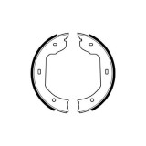 Set saboti frana mana Delphi LS1920, parte montare : Punte Spate