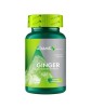 Ghimbir 300 miligrame 90 capsule Adams, Adams Vision