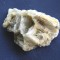 Specimen minerale - BARITINA (C9)