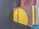 Analize gramaticale vintage