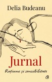 Jurnal. Ratiune si sensibilitate - Delia Budeanu - Curtea Veche