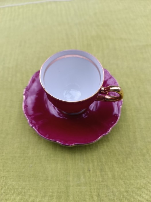 Frumoasa cesca de cafea