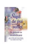 Supă de pui pentru suflet &icirc;n proces de reabilitare - Paperback - Gary Seidler, Jack Canfield, Mark Victor Hansen, Peter Vegso, Robert J. Ackerman, The