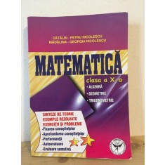 Catalin-Petru Nicolescu, Madalina-Georgia Nicolescu - Matematica Clasa a X-a