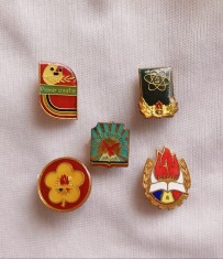Insigne pionieri #2