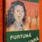 Furtuna de vara - Dan Virgiliu