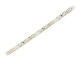 Bandă LED alb rece 3528 12V 60 LED/m 8mm IP20