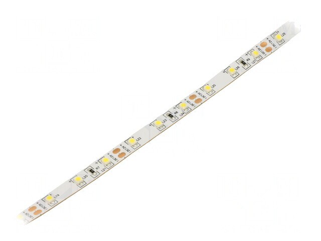 Bandă LED alb rece 3528 12V 60 LED/m 8mm IP20