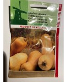 Seminte Dovleac Walham Butternut 2 g
