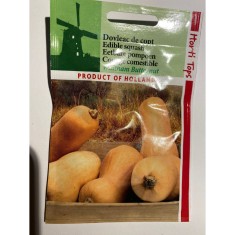 Seminte Dovleac Walham Butternut 2 g