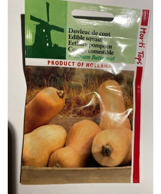 Seminte Dovleac Walham Butternut 2 g foto