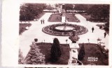 AMS# - ILUSTRATA/VEDERE BRAILA, CENTRU 1936, CIRCULATA, Printata
