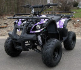 ATV KXD 006-7 HUMMER 110CC, Shark