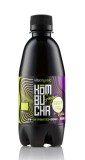 Kombucha Bio Vita Organic cu Ghimbir indulcita cu Stevia, 330ml
