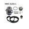 Kit distributie + pompa apa Audi A3, A4 B6; Ford Galaxy I, Galaxy Mk I; Seat Alhambra, Altea; Skoda Octavia I, Octavia II; VW Bora I, Caddy III