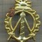 Y 1739 INSIGNA - MILITARA -SEMN DE ARMA -INGINER GENIU -PENTRU COLECTIONARI