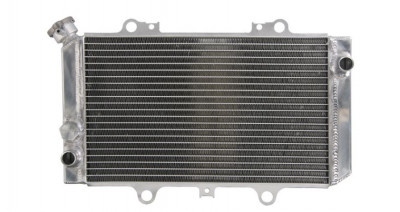 Radiator Yamaha Grizzly YFM 660 02- 08 RAD-121 foto