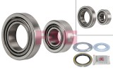 FAG 713 6676 00 Set rulment roata