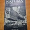 natura iulie-august 1941-intrarea romaniei in razboi contara rusiei,