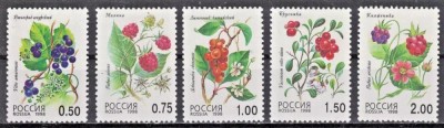 Rusia 1998 - Fructe de pădure, serie neuzata foto