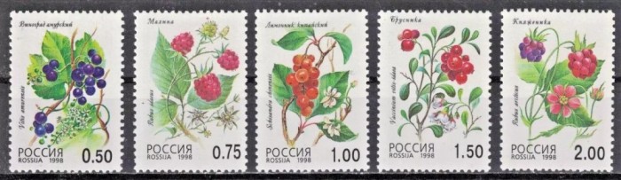 Rusia 1998 - Fructe de pădure, serie neuzata