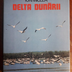 Album foto vintage Delta Dunarii - Ion Miclea / R7P5