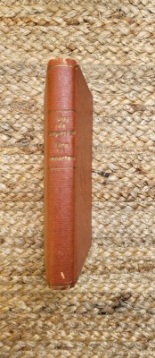 TARE CA MOARTEA-GUY DE MALPASSANT foto