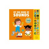My Big Book of Sounds