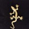 Bronz vechi șop&acirc;rla /salamandra ,decor superb