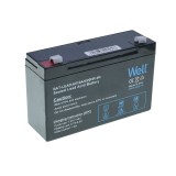 Acumulator Plumb Acid 6V 10Ah, Baterie Stationara UPS, Siguranta/Incendiu, Jucarii, Barca Pescuit, Lanterna, Panou Solar, Poarta Electrica