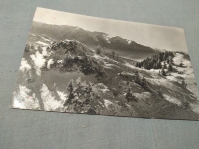 CARTE POSTALA IARNA PE MASIVUL POSTAVARUL CIRCULATA foto