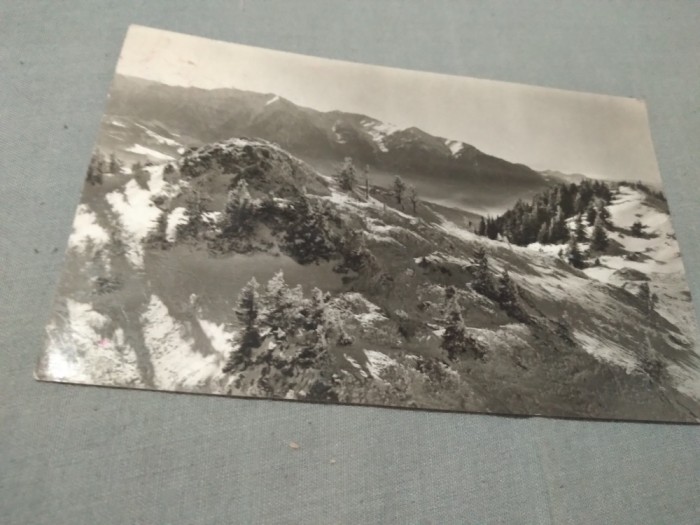 CARTE POSTALA IARNA PE MASIVUL POSTAVARUL CIRCULATA