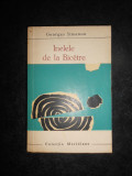 Georges Simenon - Inelele de la Bicetre