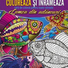 Coloreaza si inrameaza! Lumea din adancuri &ndash; carti de colorat pentru toate varstele - Anteea