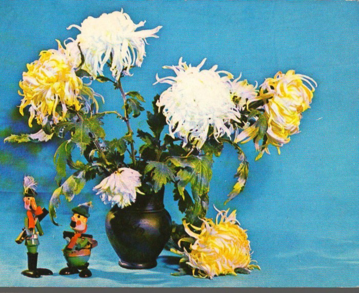 CPIB 15110 - FELICITARE - VAZA CU FLORI. CRIZANTEME