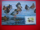 HOPCT MAXIMA ROMANIA NR 1253 RATA MARE-PASARI/ FAUNA