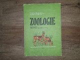 Zoologie - Manual pentu clasa a VI-a- E. Sanielevici, 1958