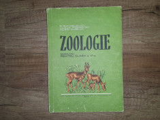 Zoologie - Manual pentu clasa a VI-a- E. Sanielevici, 1958 foto