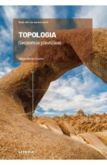 Mari idei ale matematicii. Topologia. Geometria plastilinei - Marta Macho Stadler