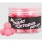 Pop Up DYNAMITE BAITS N-Ticers, Squid &amp; Octopus, 15mm