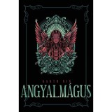 Angyalm&aacute;gus - Garth Nix