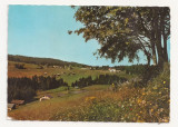 AT6 -Carte Postala-AUSTRIA- Bodele ob Dornbirn, circulata 1969, Fotografie