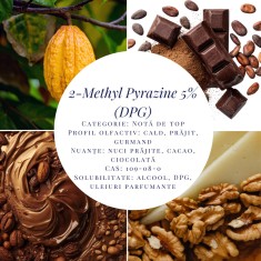 2-Methyl Pyrazine 5% (DPG)-10g foto